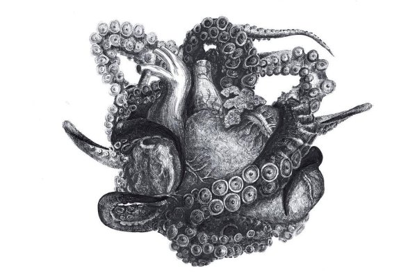 Kraken13 at сайт