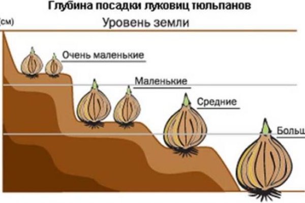 Сайты типа гидры