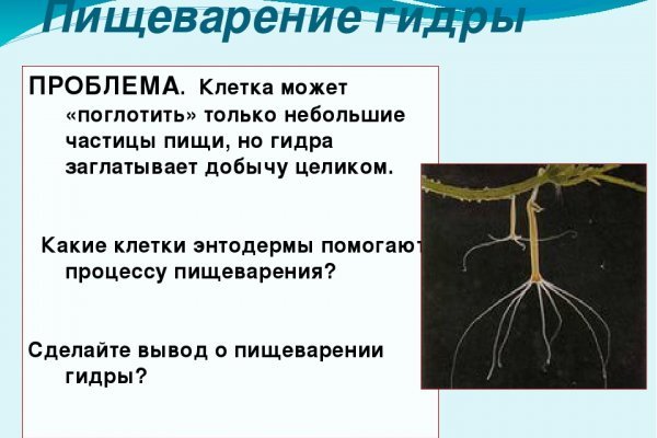 Кракен наркоторговля