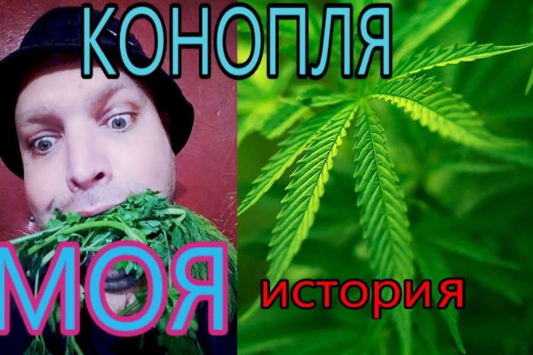 Забыл пароль от кракен