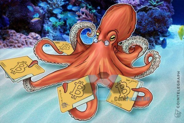 Kraken 18