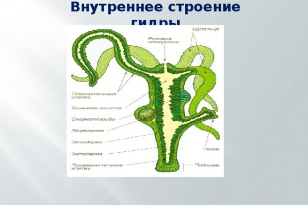 Как открыть ссылку с кракена