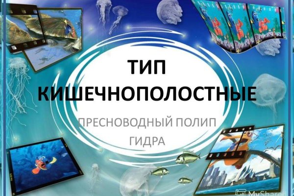 Как пополнять кракен тор