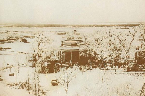 Значок кракена маркетплейса