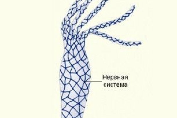 Как восстановить страницу на кракене