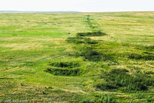 Кракен сс